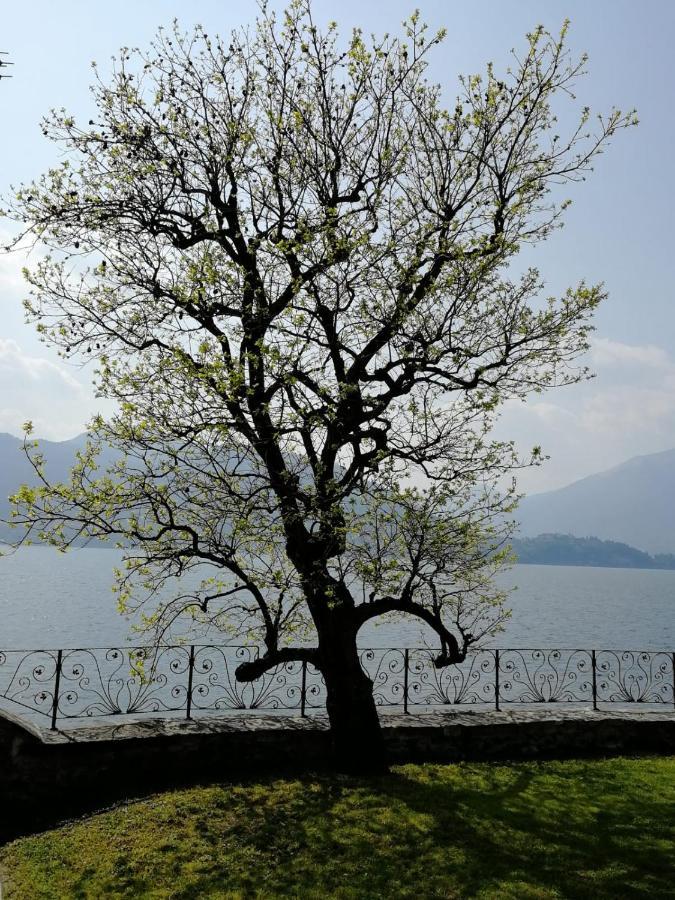 L'Antico Borgo, Un Mix Di Storia E Romanticismo Villa Lierna Eksteriør billede