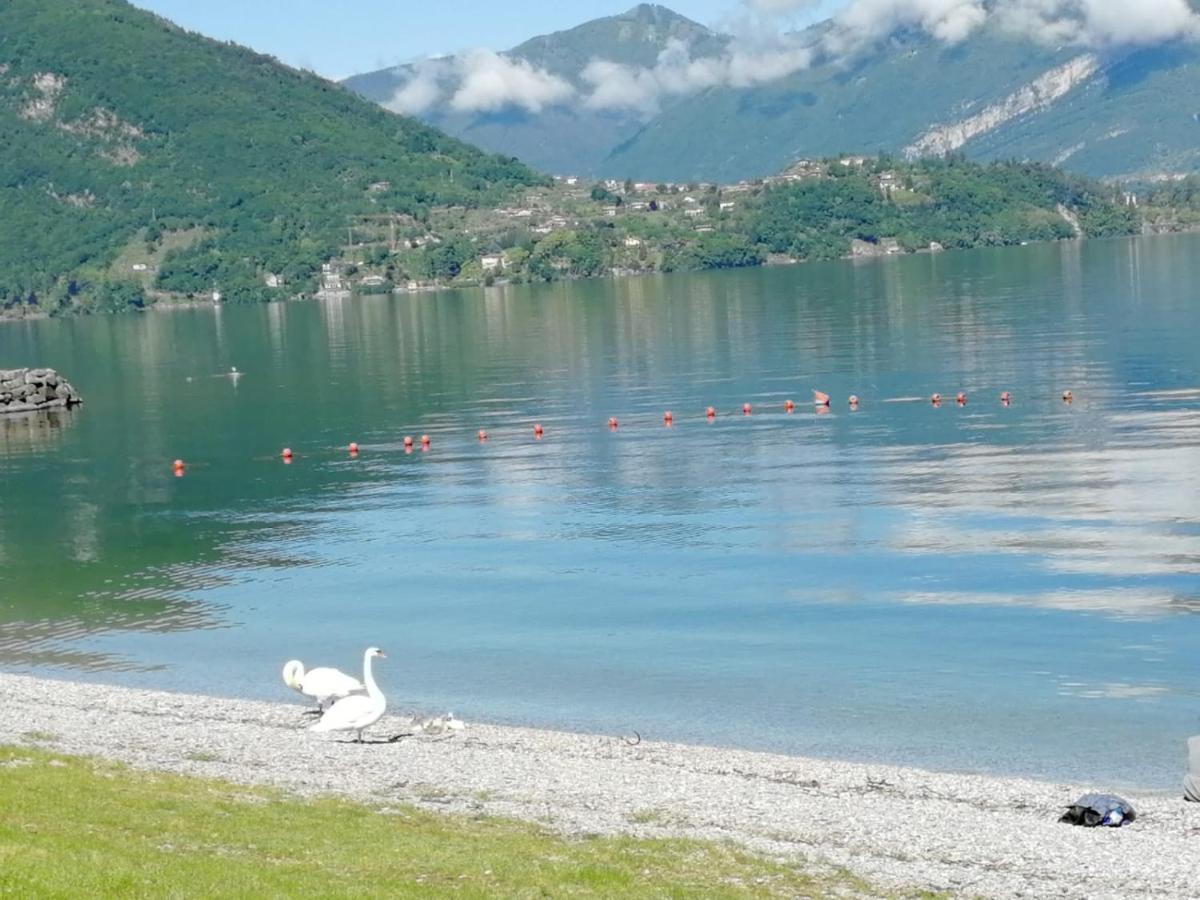 L'Antico Borgo, Un Mix Di Storia E Romanticismo Villa Lierna Eksteriør billede